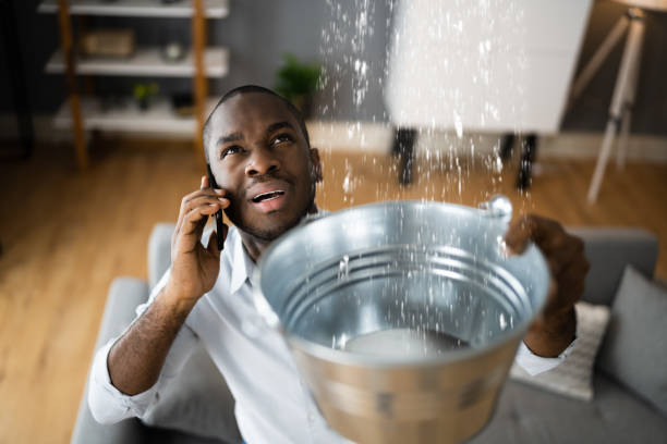 Best Water damage contractors near me  in Bell Acres, PA