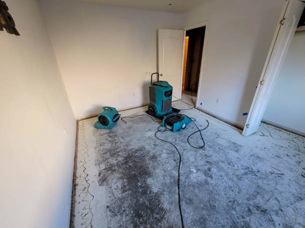 Best 24/7 water damage repair  in Bell Acres, PA