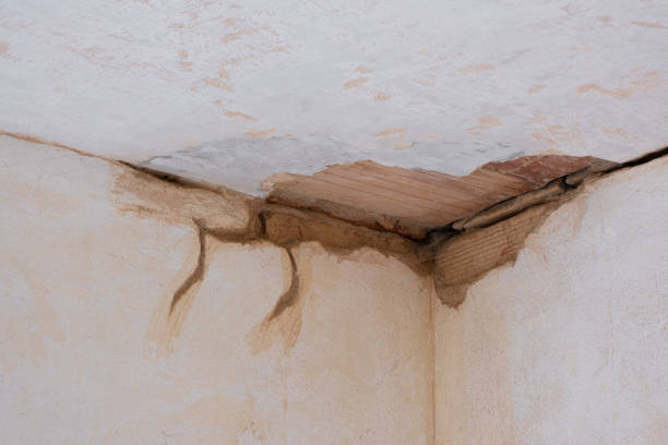 Best Water damage restoration near me  in Bell Acres, PA