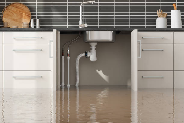 Best Ceiling water damage repair  in Bell Acres, PA